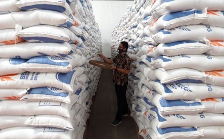 Impor Beras Capai 500 Ribu Ton: Bulog Berupaya Jaga Stabilitas Pasokan Pangan di Indonesia