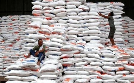 Impor Beras Mencapai 500 Ribu Ton, Fokus Bulog pada Penyediaan dan Kontrol Pasokan