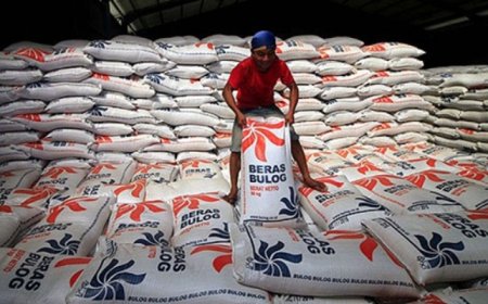 Impor Beras ke Indonesia Capai Rekor 500 Ribu Ton, Bulog Siap Jaga Pasokan dan Harga Stabil