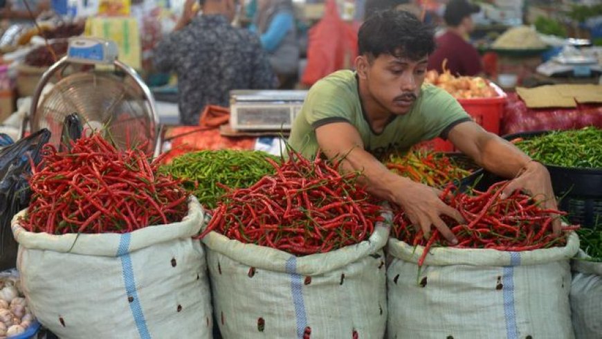 Kenaikan Drastis Harga Pangan di Awal Pekan, Cabai dan Beras Mendominasi