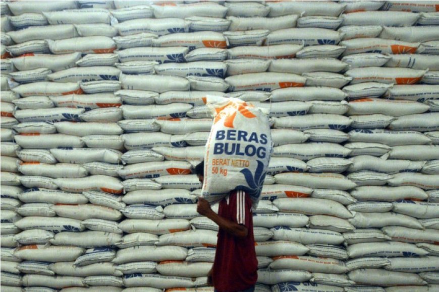 500 Ribu Ton Beras Impor Telah Masuk ke Indonesia