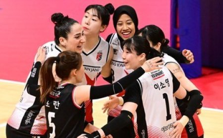 Red Sparks Lolos Playoff Liga Voli Korea