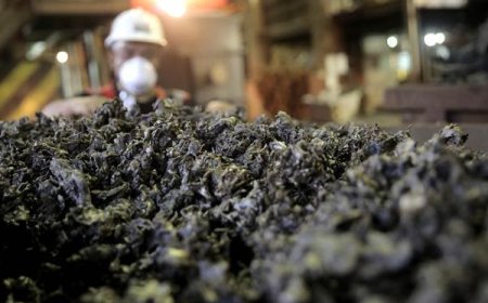 Menilik Perlambatan Ekspor Indonesia: Dampak Penurunan Nikel dan Industri Lainnya